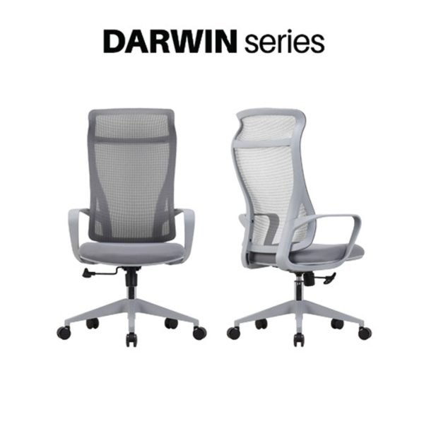 Kursi Kantor Darwin HR Grey